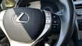 Lexus RX 450h Ambiente Line Schwarz - thumbnail 14