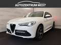 Alfa Romeo Stelvio Veloce 2,2 16V 210 AT8 Q4 .. Mod. 2021 Weiß - thumbnail 1