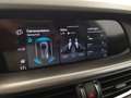 Alfa Romeo Stelvio Veloce 2,2 16V 210 AT8 Q4 .. Mod. 2021 Weiß - thumbnail 23