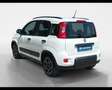 Fiat New Panda 1.0 FireFly Hybrid City Life Bianco - thumbnail 9