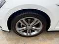 Volkswagen Golf 1.6 TDI 116CV -R LINE- KEYLESS-CARPLAY Bianco - thumbnail 15
