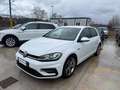 Volkswagen Golf 1.6 TDI 116CV -R LINE- KEYLESS-CARPLAY Bianco - thumbnail 13