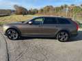 Volvo V90 Cross Country V90 Cross Country D4 AWD 190 ch Geartronic 8 Cross Country Luxe Maro - thumbnail 4