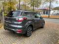 Ford Kuga ST-Line +R-Kamera+GJR+Sitzhz+++ Gris - thumbnail 4
