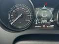 Jaguar F-Type AWD Aut. British Design-381pk-Performance-Pano Grau - thumbnail 20