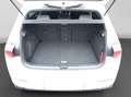 Volkswagen Golf 1.5 eTSI DSG R-LINE BLACK STYLE LED+ LM17 Weiß - thumbnail 16