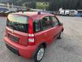 Fiat Panda 1.2 4x4. !!!NUR EXPORT. ODA. HENDLER !!!!! - thumbnail 4