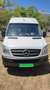 Mercedes-Benz Sprinter Sprinter Ch.DCb. 311CDI Largo Blanco - thumbnail 10