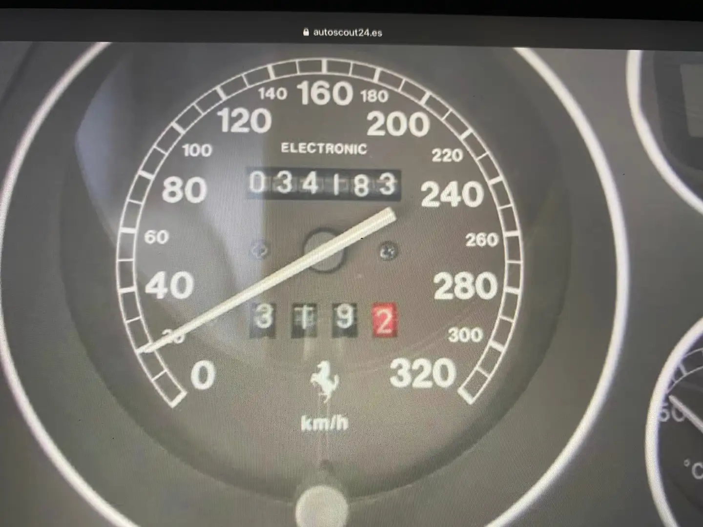 1998 Blu Spider — photo 2