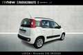 Fiat Panda 1.2 Lounge easypower Gpl 69cv Wit - thumbnail 3