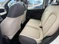 Fiat Panda 1.2 Lounge easypower Gpl 69cv Wit - thumbnail 9