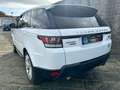 Land Rover Range Rover Sport SUPERCHARGED V8 TETTO APRIBILE Bianco - thumbnail 14