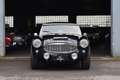 Austin-Healey 100 100/6 Schwarz - thumbnail 3