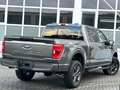 Ford F 150 5,0L V8 75th Super Crew 4x4 360° ACC LED Grau - thumbnail 4