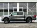 Ford F 150 5,0L V8 75th Super Crew 4x4 360° ACC LED Grau - thumbnail 5