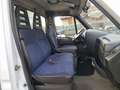 Iveco Daily 35C13 RIBALTABILE TRILATERALE NUOVO Gris - thumbnail 10