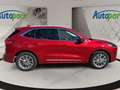 Ford Kuga VIGNALE Plug-In Hybrid Vignale Rot - thumbnail 5