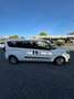 Fiat Doblo Doblò 1.6 MJT 105CV S&S PL Combi Maxi N1 Easy Bianco - thumbnail 6