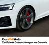 Audi S5 TDI Wit - thumbnail 12