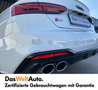 Audi S5 TDI Wit - thumbnail 4