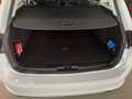 Ford Focus Wagon 1.5 EcoBlue 120pk Trend Ed. Business B&O Wit - thumbnail 21