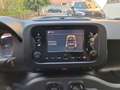Fiat Panda 1.0 Hybrid City Life *PREZZO REALE - thumbnail 15