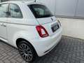 Fiat 500 1.2 Lounge | Pano | Bluetooth | Airco Wit - thumbnail 31