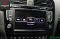 Volkswagen Golf VII 2.0 TSI R 4M VOLLLEDER,PANORAMA1.HAND Blau - thumbnail 12