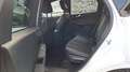 Ford Kuga 2,5 Duratec PHEV ST-Line X Aut. Weiß - thumbnail 15