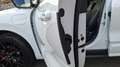 Ford Kuga 2,5 Duratec PHEV ST-Line X Aut. Weiß - thumbnail 21