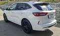 Ford Kuga 2,5 Duratec PHEV ST-Line X Aut. Weiß - thumbnail 4