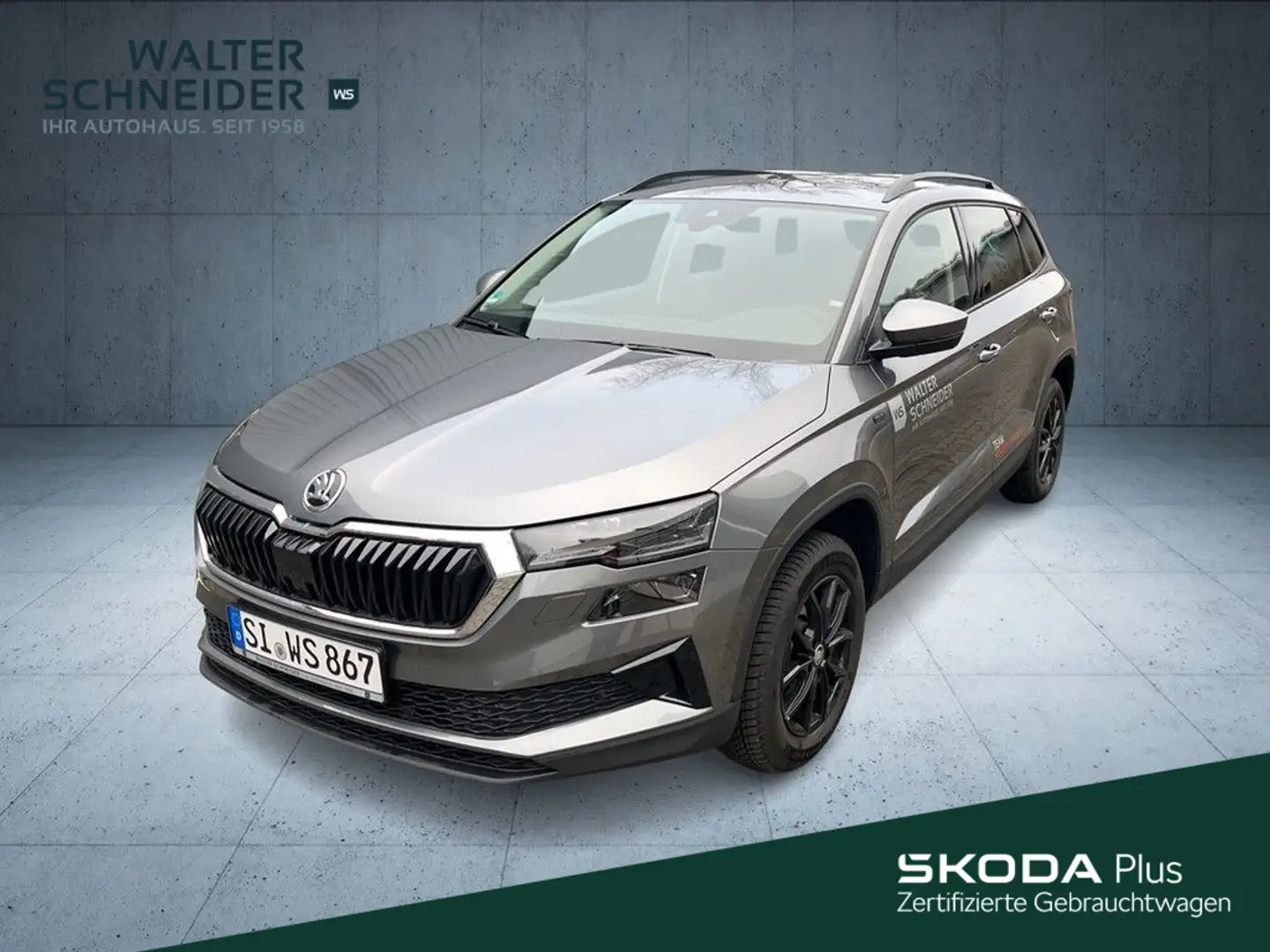 Skoda Karoq Tour 1.5 TSI 150 PS DSG Grau - 1