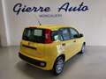 Fiat Panda Panda 1.0 FireFly S&S Hybrid Pop Giallo - thumbnail 2