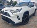 Toyota RAV 4 Hybrid 4x4 *360 Kamera*Schieberdach*Glass Wit - thumbnail 1