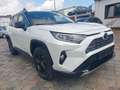 Toyota RAV 4 Hybrid 4x4 *360 Kamera*Schieberdach*Glass Wit - thumbnail 4