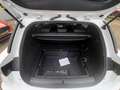 Lexus CT 200h CT200h F-SPORT +NAVI+SHZG+PDC+Tempo+3J Garantie+ Weiß - thumbnail 22