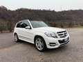 Mercedes-Benz GLK 220 GLK 220 4Matic BlueTEC Sport Blanc - thumbnail 2