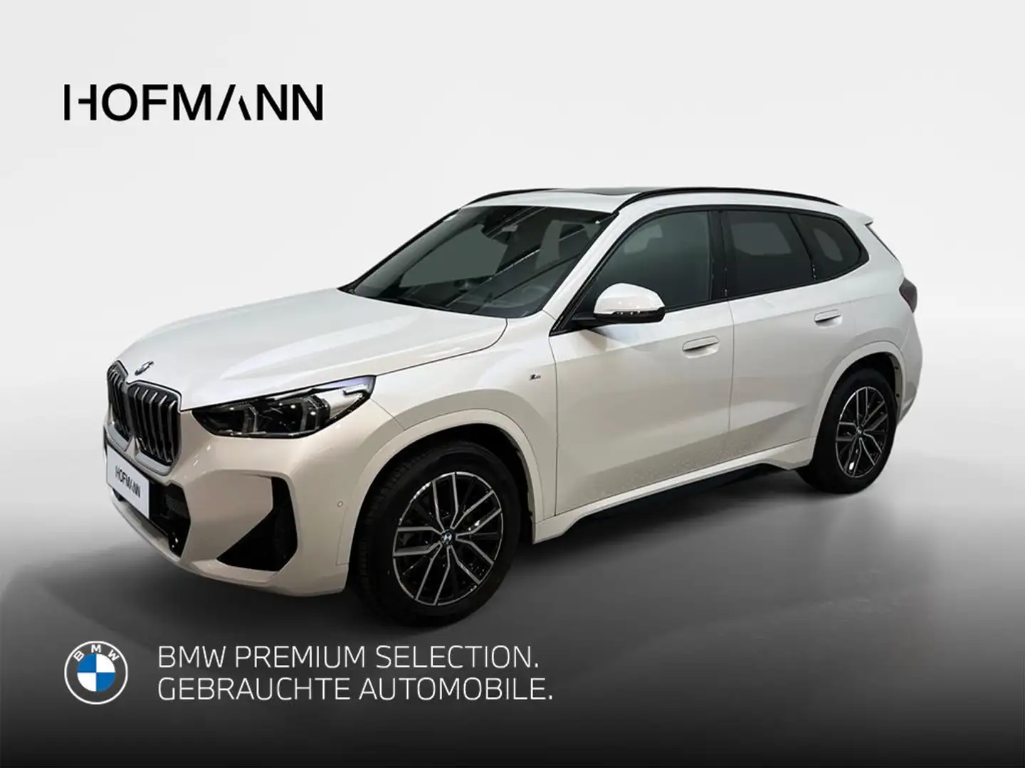 BMW X1 M Sport Weiß - 1