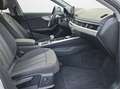 Audi A4 Avant 35 TDI S tronic advanced NaviPlus Pano Ka... Bianco - thumbnail 14
