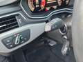 Audi A4 Avant 35 TDI S tronic advanced NaviPlus Pano Ka... Bianco - thumbnail 17