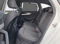 Audi A4 Avant 35 TDI S tronic advanced NaviPlus Pano Ka... Bianco - thumbnail 12