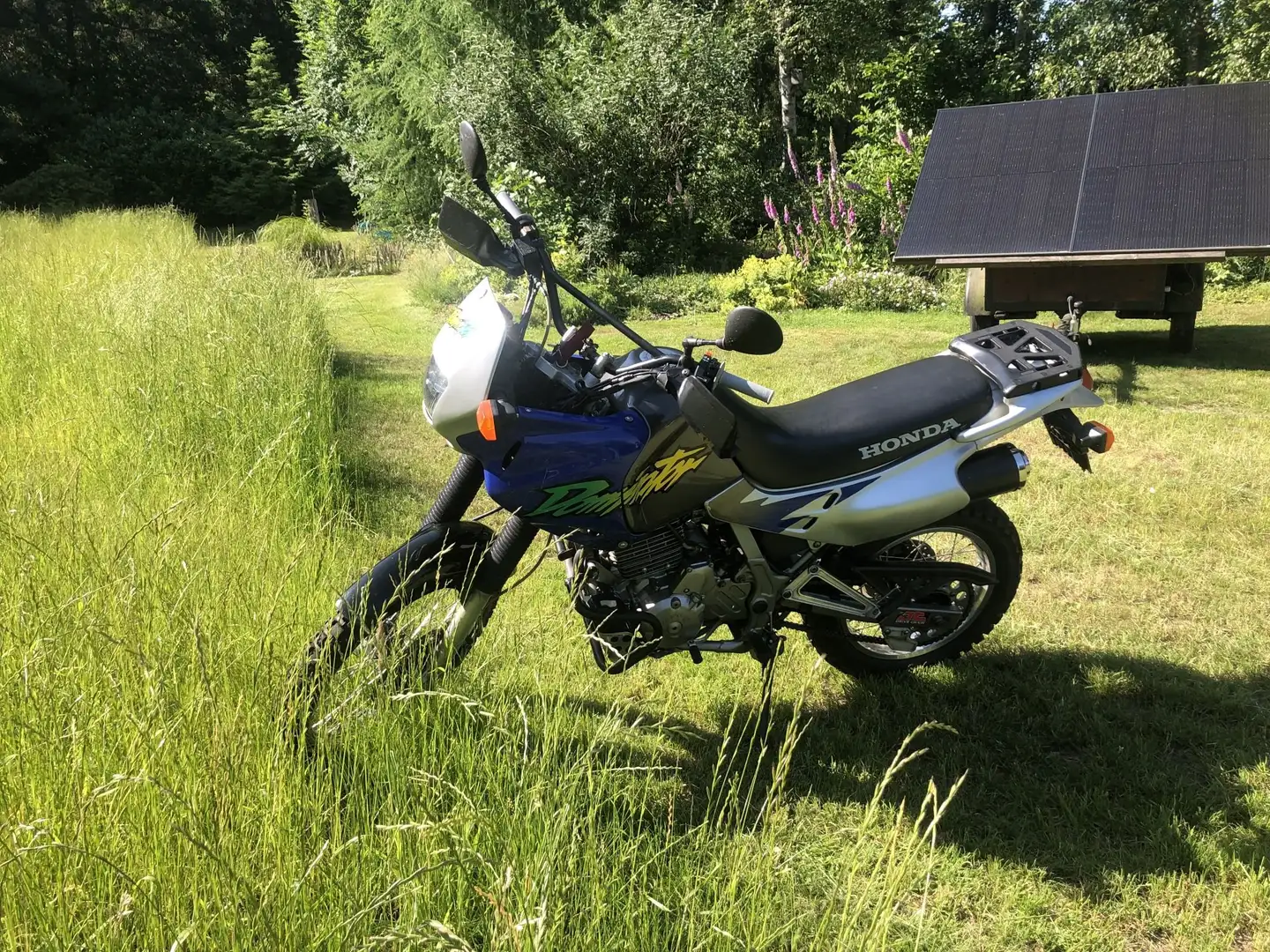 Honda NX 650 - 1