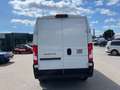 Fiat Ducato 35 L2H2 140 Multijet Maxi - 2. Schiebetüre Weiß - thumbnail 7