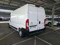 Citroen Jumper Fg. 2.2BlueHDi 35 L3H2 165 Blanco - thumbnail 3