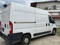 Fiat Ducato 2.3 140 CV 87.000km. TELECAMERA SENSORI. PERFETTO Bianco - thumbnail 3
