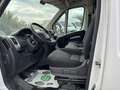 Fiat Ducato 2.3 140 CV 87.000km. TELECAMERA SENSORI. PERFETTO Bianco - thumbnail 12