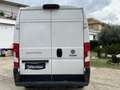 Fiat Ducato 2.3 140 CV 87.000km. TELECAMERA SENSORI. PERFETTO Bianco - thumbnail 5