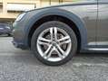 Audi A4 allroad 3.0 TDI 272 CV tiptronic Business TETTO FULL OPT Bruin - thumbnail 24