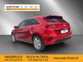 Kia Ceed / cee'd ceed 1,6 CRDi 48V Silber Rot - thumbnail 3