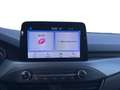 Ford Focus Focus 1.0 EcoBoost Hybrid 125 CV 5p. ST-Line Desi Gris - thumbnail 17